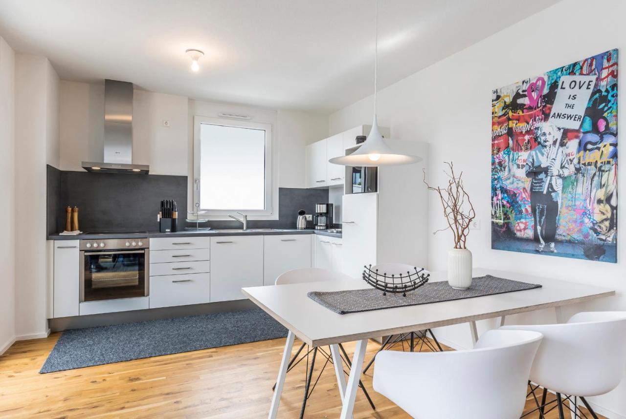 Penthouse Apartment Bahlingen (Emmendingen)